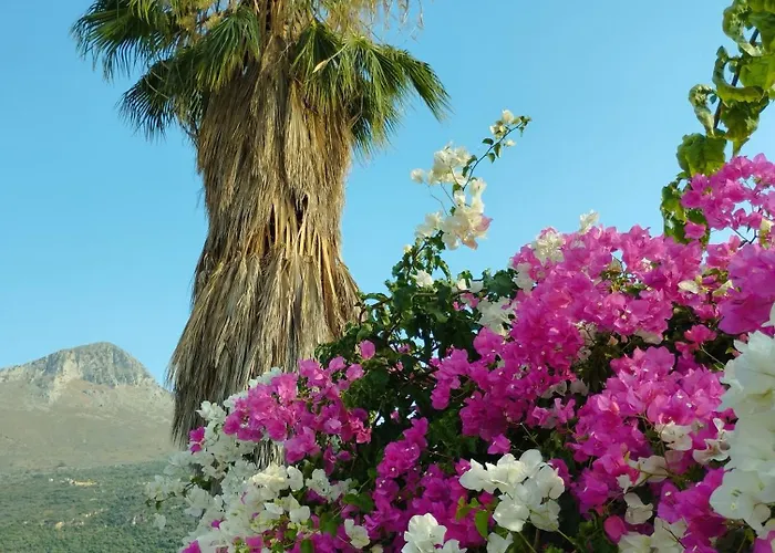 Βίλα Voukamvilia 3 Minutes Walk From Νεόν Οίτιλον