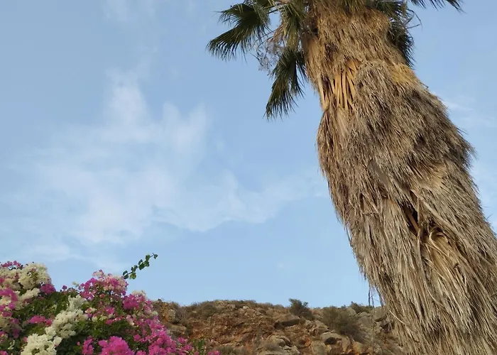 Voukamvilia 3 Minutes Walk From *