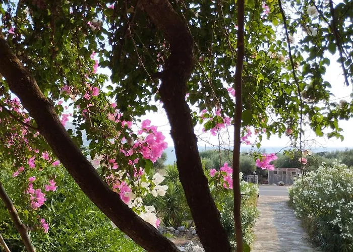 Voukamvilia 3 Minutes Walk From * Νεόν Οίτιλον