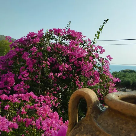 Vila Voukamvilia 3 Minutes Walk From