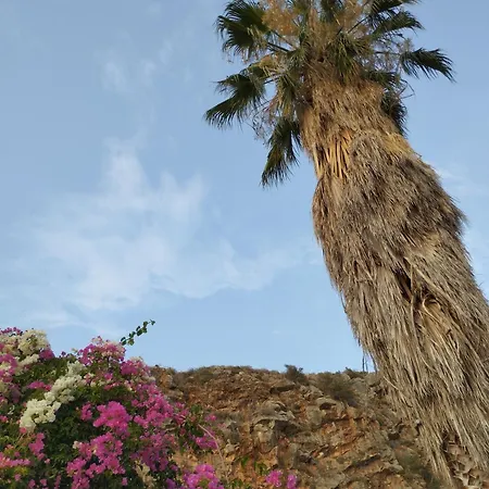 Voukamvilia 3 Minutes Walk From *