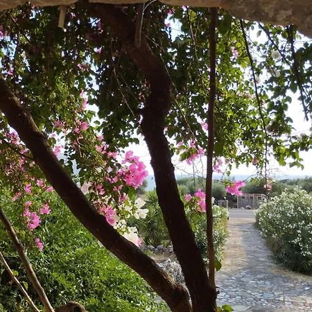 Voukamvilia 3 Minutes Walk From * Néon Oítilon