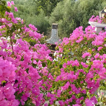 Voukamvilia 3 Minutes Walk From Willa *