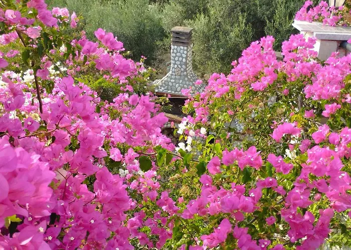 Voukamvilia 3 Minutes Walk From Villa *